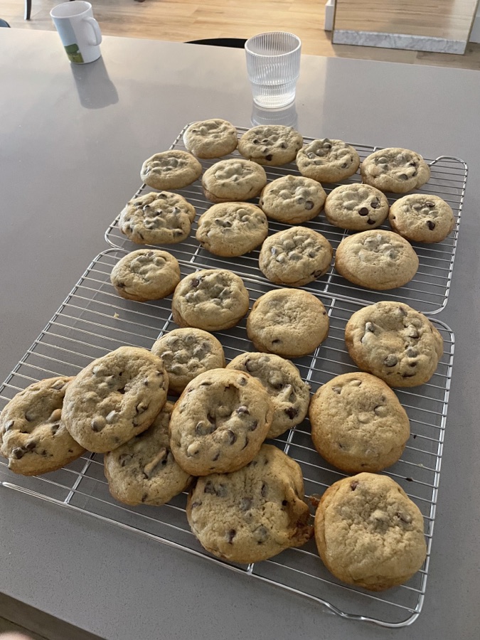Chocolate chip cookies cooling on a rack